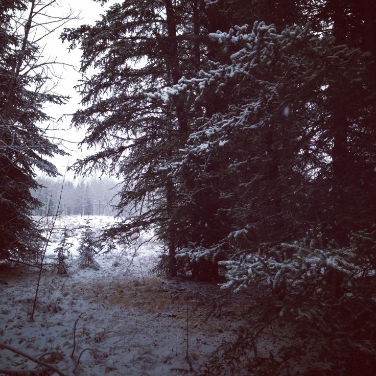 This image has an empty alt attribute; its file name is crosses.jpg